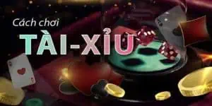 Cách chơi tài xỉu trực tuyến dành cho người mới 