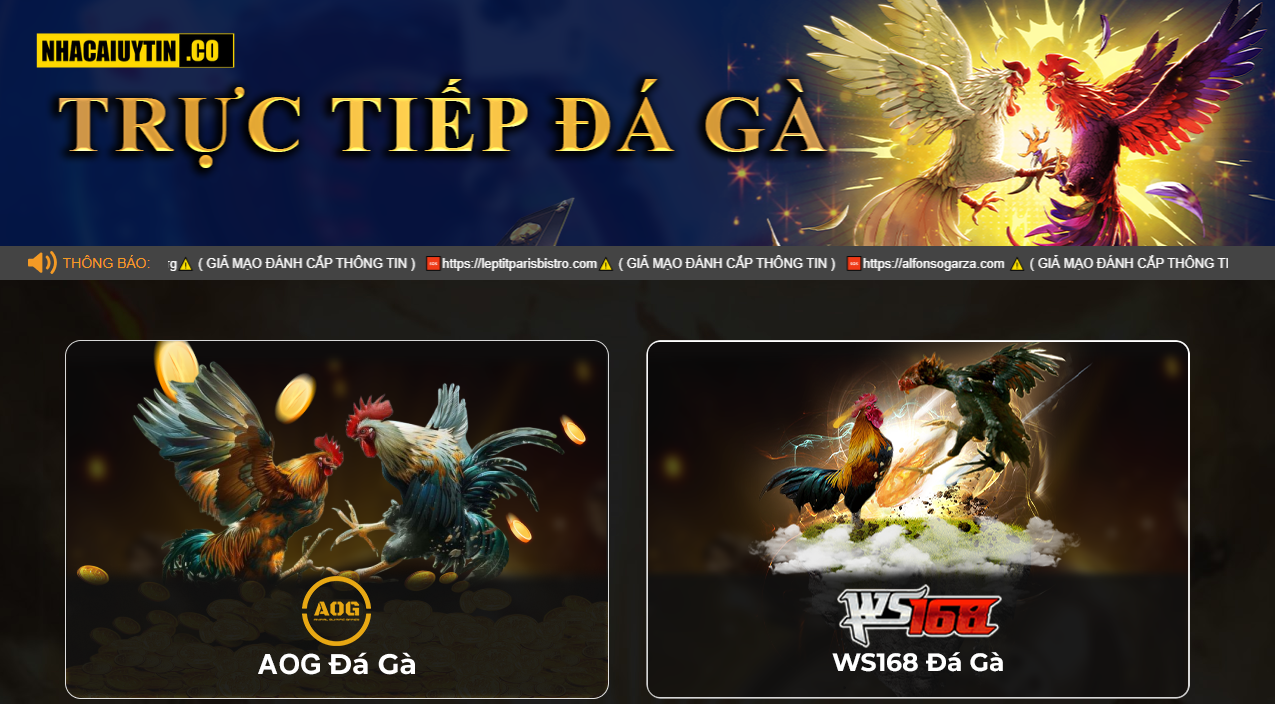 Đá Gà Trực Tiếp 789BET